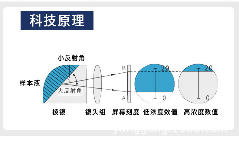 xq (11).jpg