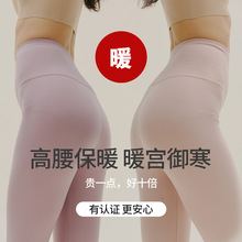 秋冬新款女士秋裤 单件装贴身打底裤保暖裤棉毛秋裤女款修身批发