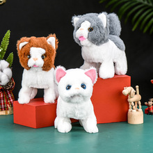 늄�؈����Е���·�uβ�ͷ��挙��؈��������؈Ů����߿羳