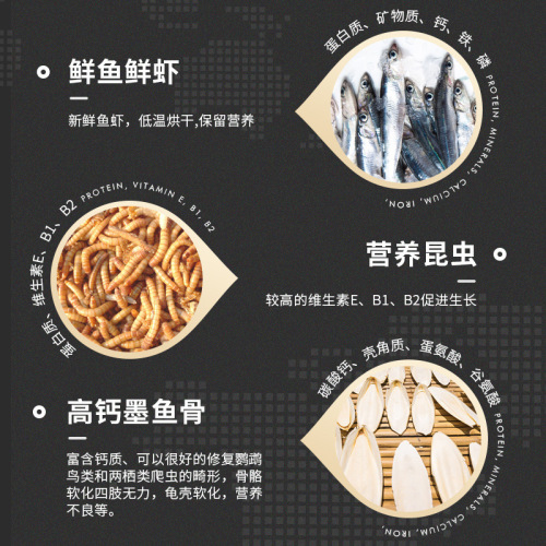 African Grey Parrot Training Treats: Bread Insects, Millet Insects, Cuttlebone, Tiger Tail Finches