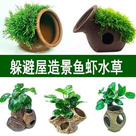 鱼缸造景莫斯水榕水草陶罐活体躲避屋水下淡水懒人增氧摆件鱼虾窝