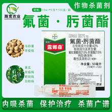 ݶ ¶ɭ 뿾׷۲а߲ rș 10ml