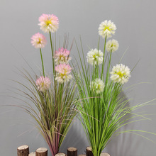 仿真芦苇蒲棒水草绿植把束蒲公英 香蒲棒水蜡烛  狗尾草 圆球柄草