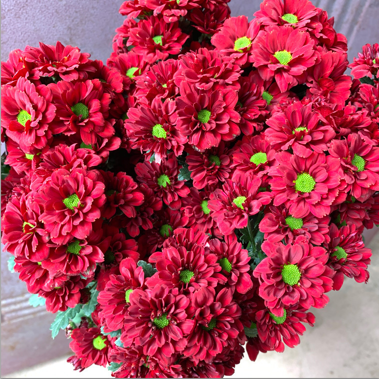 鲜花花束云南昆明基地直发香水百合花速递同城玫瑰520情人节礼物|undefined