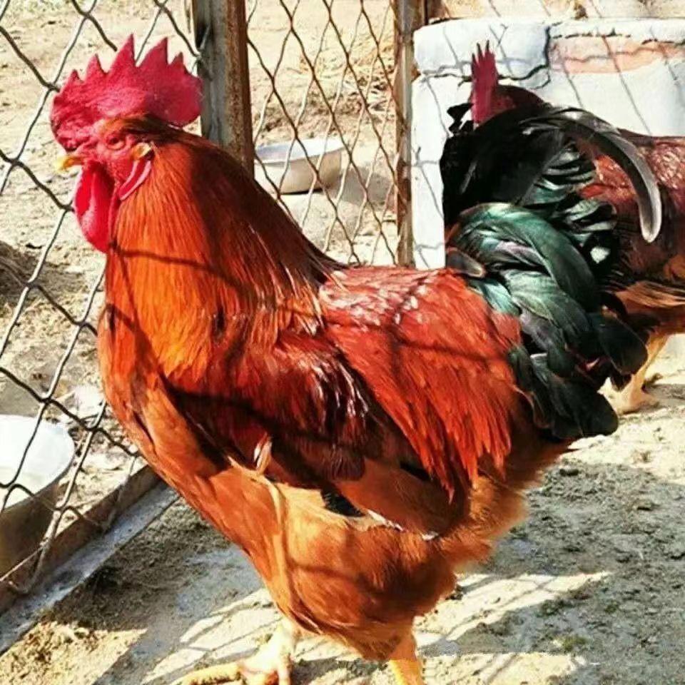 f737ab7c206ab3894e81a2426aa0d3