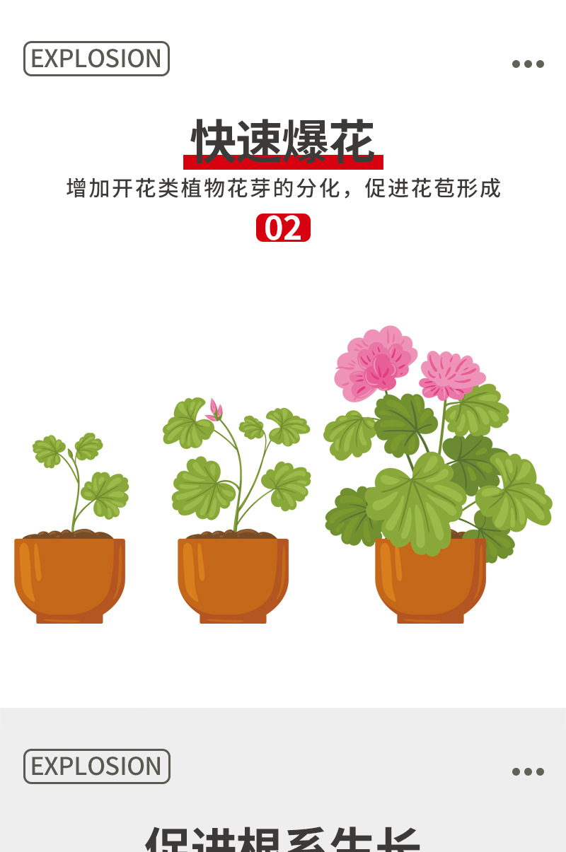 高浓爆花肥2号详情_05.jpg