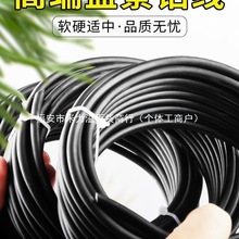 辰XzXP@ˇFz_hɶͼXz