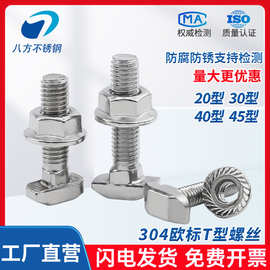 304不锈钢T型螺丝钉T型槽用螺栓法兰螺母M5M6M8M10螺纹模具