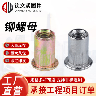 ƽ�^�Q�l�y���T��ĸ�L���T��ĸ�ߏ�����ñ�T�ӿ羳�o�̿羳���N