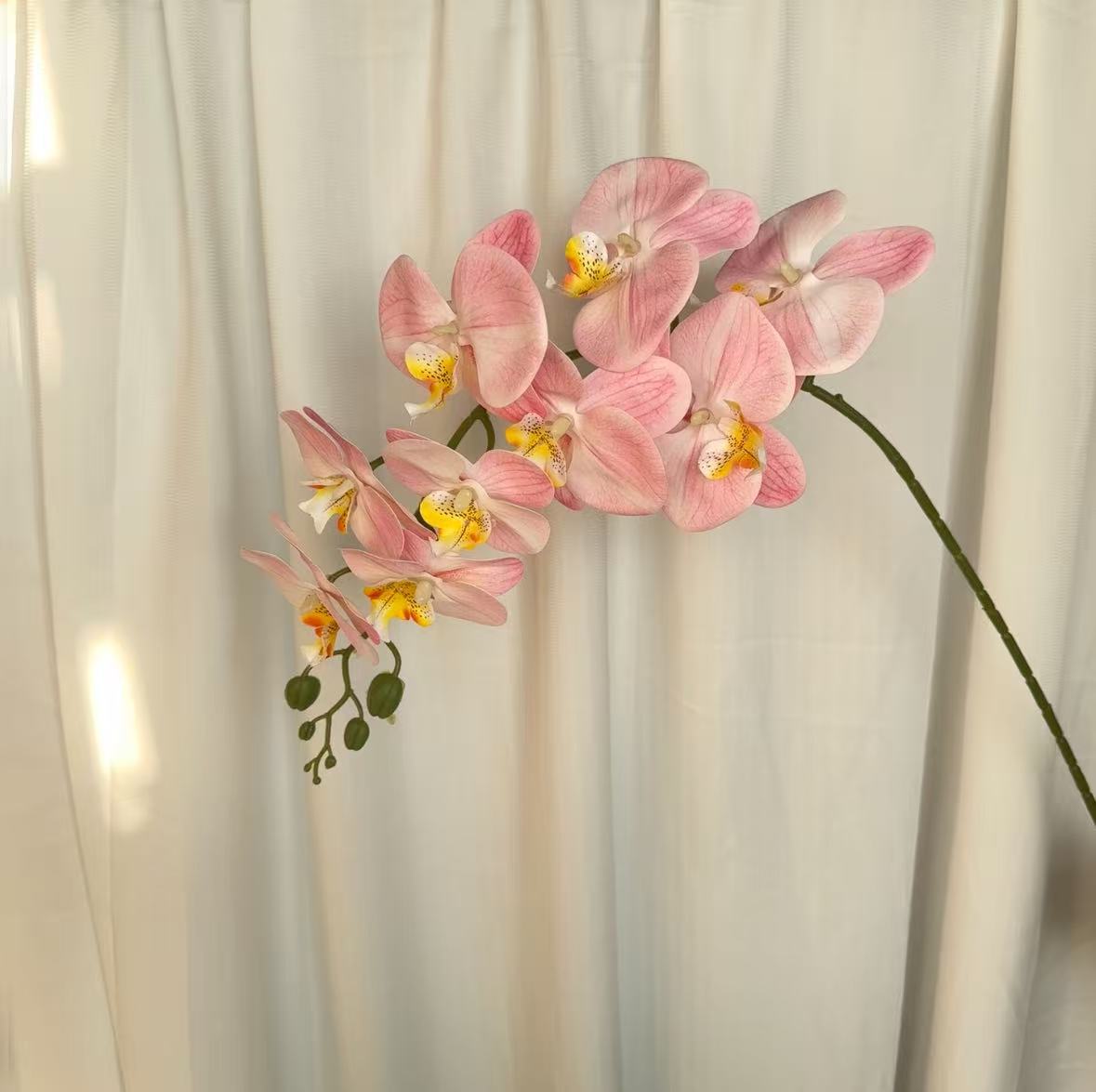 9-cabeza película Phalaenopsis flor artificial salón comedor Mesa alta rama piso decoración flor falsa Boda boda arreglo de flores