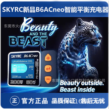 SKYRC B6ACneo����ƽ������܇��ģ�늳ؿ��DC200W AC60W ��Ʒ