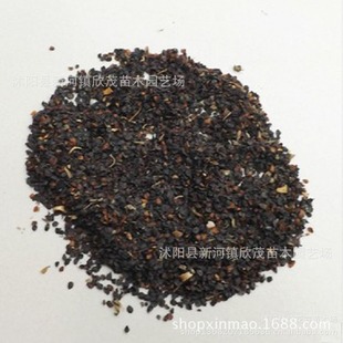 Base Seed Industry Wholesale Lawn Grass Flower Flower Seeds Perennial Colorful Dianthus Mixed Color High Budding Rate
