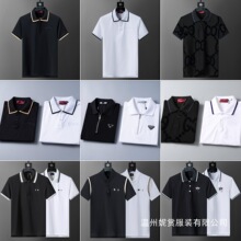 �߰汾 ��ȷ��polo����ʿ�ļ��������t������ŷ��ר����