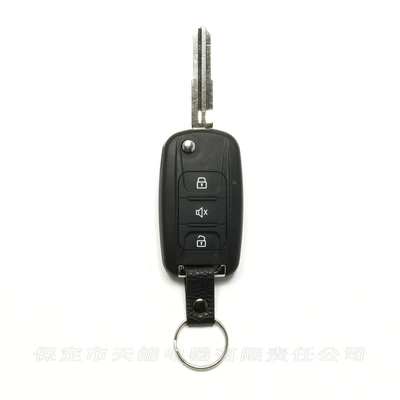 keyless entry alarm, Car anti-theft device