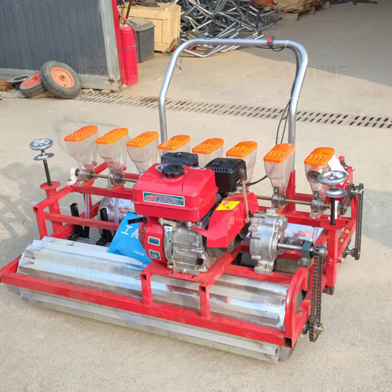 手推式娃娃菜白菜播种机 紫苏西洋参点播机 红花柴胡精播机