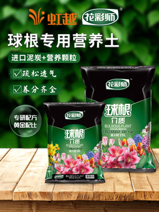 ��Խ���ʎ��N���ֲ��I�B���ٺ���피tͨ�÷N����|�Nֲ����