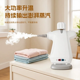 挂烫机;蒸汽清洁机;清洁球/刷