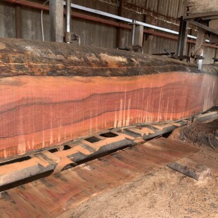 �t�Fľ �O���� �˰��� �������ľ �Ҿ��b�� ԭľ���