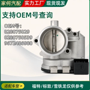 Ford, Peugeot, Citroen avtomobil qaz klapanı 028075029_0280750539_9672486980 ilə uyğun gəlir