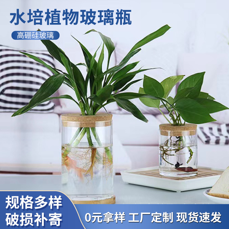 Botella de plantas hidropónicas creativas con botellas ecológicas de vidrio transparentes botellas de jardinería botella de vidrio de oficina