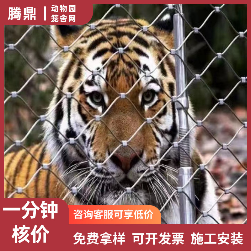 源头厂家直销304不锈钢防坠网动物园笼舍围网钢丝绳网不锈钢绳网