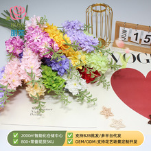 �羳2���ذ��w����滨��c���Ż���Y�ø߼����b�ˇ���컨