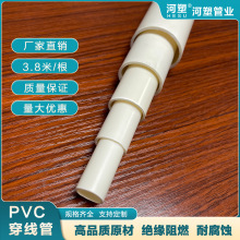 �����׏����b늾�������늹��񾀴����׹�PVC������16���۴����