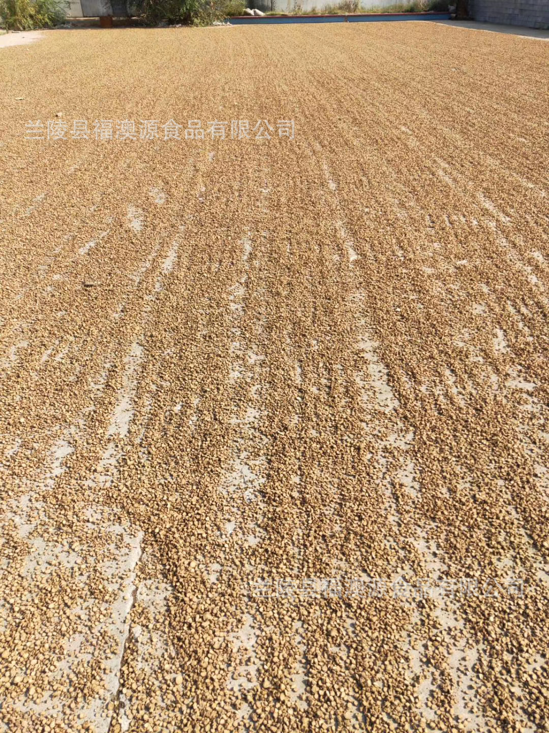 67783c23a4ff5d84eb2ef882826548