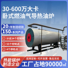 燃油气导热油炉热载体锅炉/卧式燃油气导热油锅炉 热载体