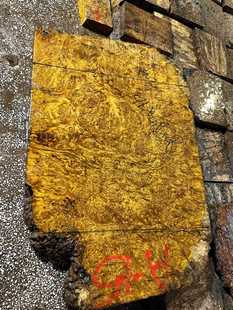 ��z�ľ���M������� ����ȫ�� �Ҿ��� ������� �`ľ��������