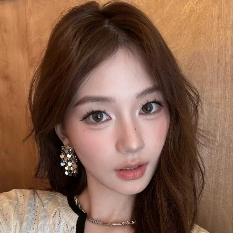 韩系简约银色亮片流苏耳环女款轻奢高级感气质耳钉小众设计感耳饰|undefined