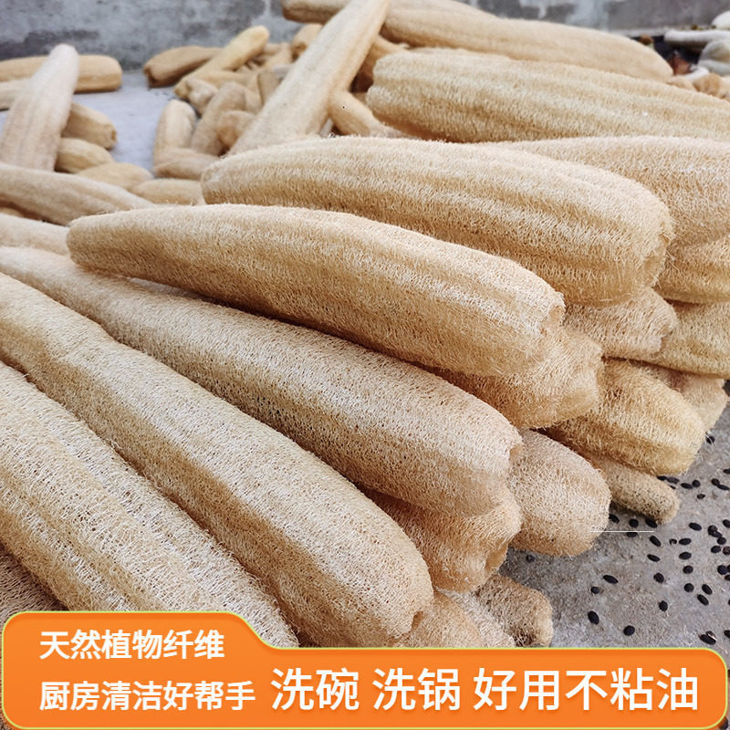 Natural Loofah Sponge from Rural Areas for Washing Dishes, Scrubbing Pots, Dry and Soft Bath Towel, Medicinal Loofah Sponge for Lactation, Silk Loofah Fiber, Pulp, Cloth, and Shell