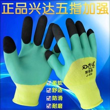 �d�_�l�������׼ӏ�ָ���z����͸����ĥ���z���ׄڱ��������l