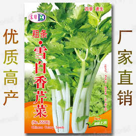 四季小芹菜种子 农田菜地丰产脆嫩新四季玉翠小香芹籽原厂包装