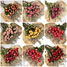 玫瑰花多头蔷薇干花真花风干ins装饰摆件diy插花礼品礼物情物批发