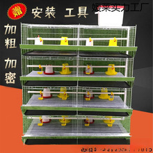 ���r�\�Ӵּ����Č�һ�wС�u�\��ʽ�����Bֳ�u���Z�\�u����Ʒ�O��