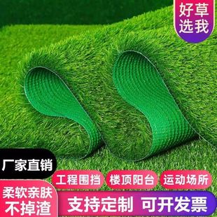 Sun Room Glass Top Sun Protection and Heat Insulation Kindergarten Carpet Sunshade Lawn Green Space Artificial Artificial Green Turf Roof