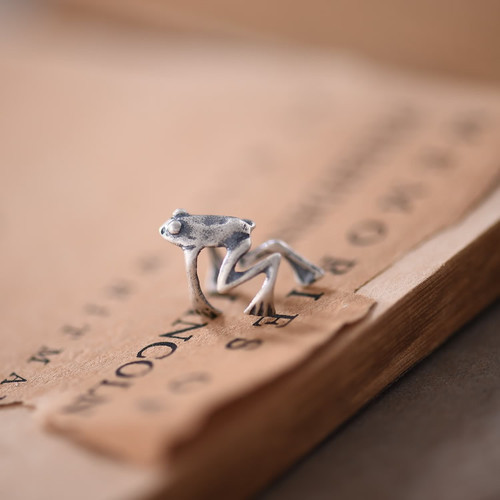 Dark Night 925 sterling silver European and American new non-perforated frog ear clip alternative personalized ear expansion jewelry
