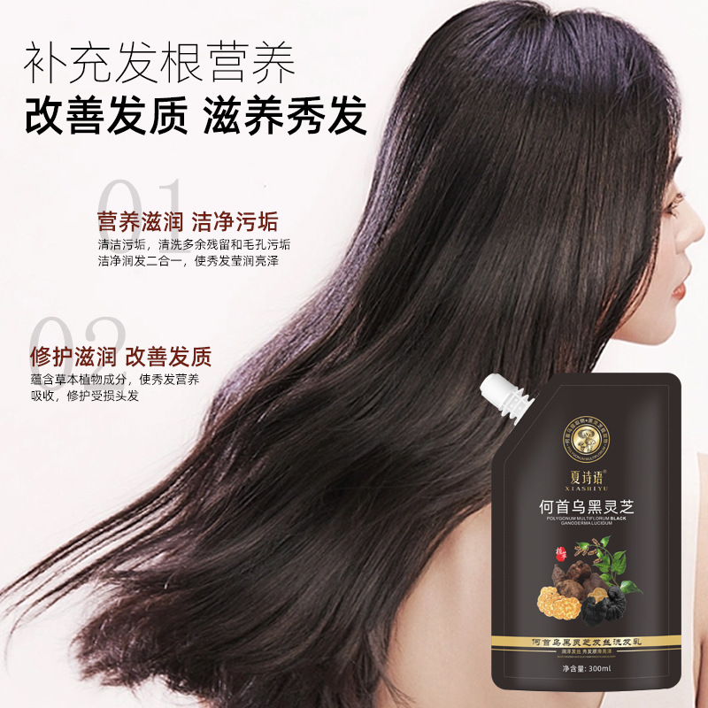 黑靈芝何首烏髮根洗髮水養護白轉黑洗髮露滋養洗頭膏批發