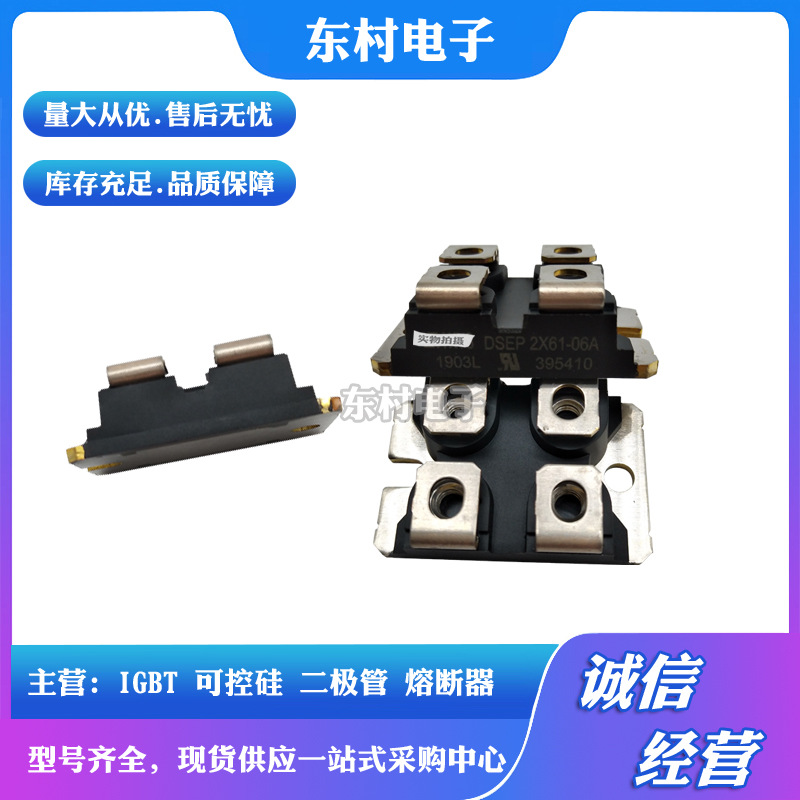 全新DSEP2X61-12A DSEP2X61-12B DSEP2X101-04A可控硅现货