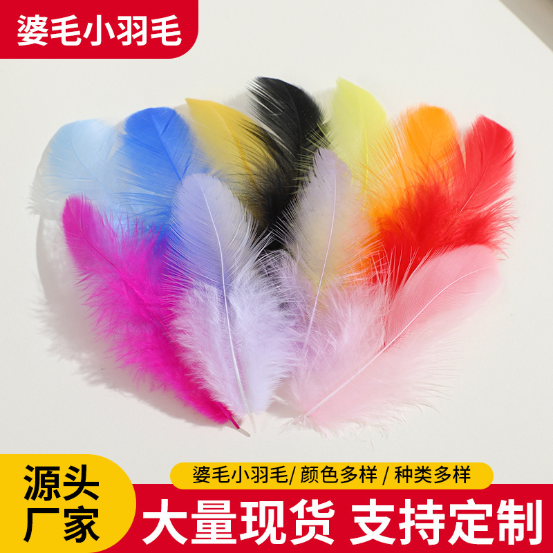 Hen mother feather small feather 4-10cm color diy handmade feather wholesale clothing crafts decorative feather chicken