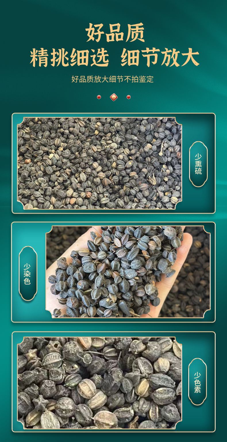 Dried Acanthopanax Senticosus Seeds Ci Wu Jia Zi 500g Raw Herbal Seed for Traditional Decoction specifications