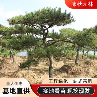 �������͘���������ɘ�e�����@ͥԺ�^�p�L�����ļ�����ӭ���ɘ�