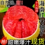 海南正宗新鲜大果蜜柚