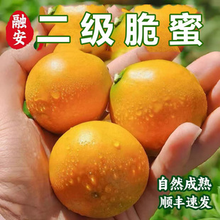 �����������ڽ�̵����V���ڰ����۽���r��Ƥ���۽ۑ���ˮ�����]