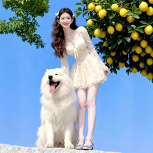 ��ʽ�����L�޺ÿ�2026���������@���ٽzȹ�弃ϵ�Թ��ô����B��ȹ