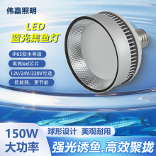 220V 150W led夜钓诱鱼集鱼灯 户外直插款  深水电鱼高亮度灯