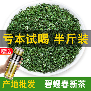 �a��ֱ�N�ؼ���ǰ���ݴ�2026���²�G����~����ë���ɢ�b���l