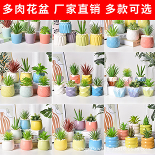 �S�����l�մɻ�����ԽM�τ���ҾӔ[�����⻨�躆�s����Gֲ����