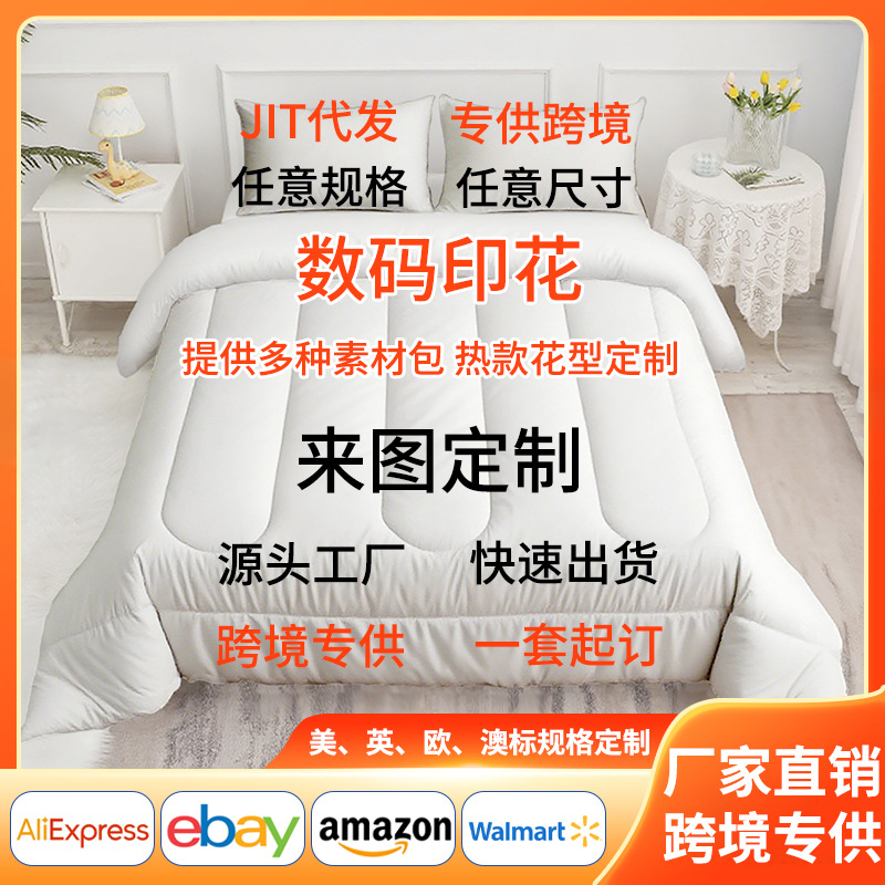 Jlt Cross-Border 3D Digital Printing Winter Quilt down Cotton Spring and Autumn Quilt Brushed Fabric Two-Dimensional Anime Quilt Customization